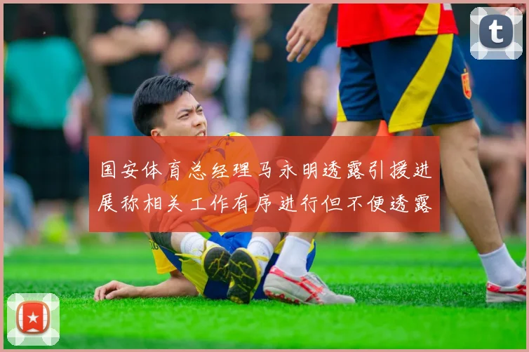 国安体育总经理马永明透露引援进展称相关工作有序进行但不便透露名字